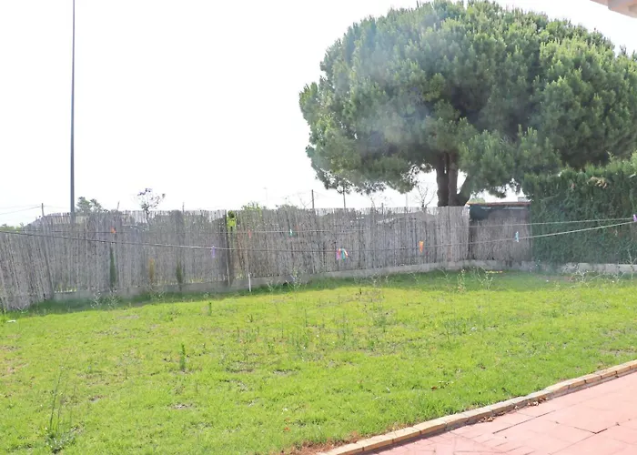 Urbanizacion Pinar De Roche 2 *